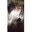 Lien vers une peinture d'Isabelle Mehling-Sinclair